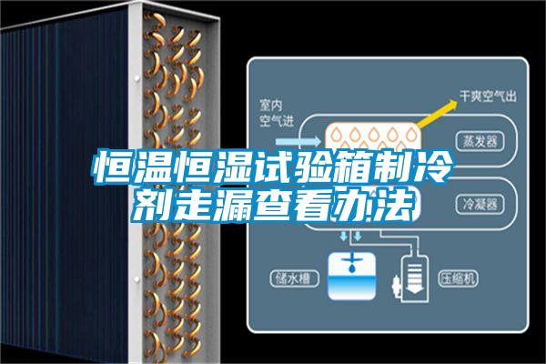 恒温恒湿试验箱制冷剂走漏查看办法
