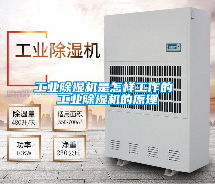 工业除湿机是怎样工作的 工业除湿机的原理