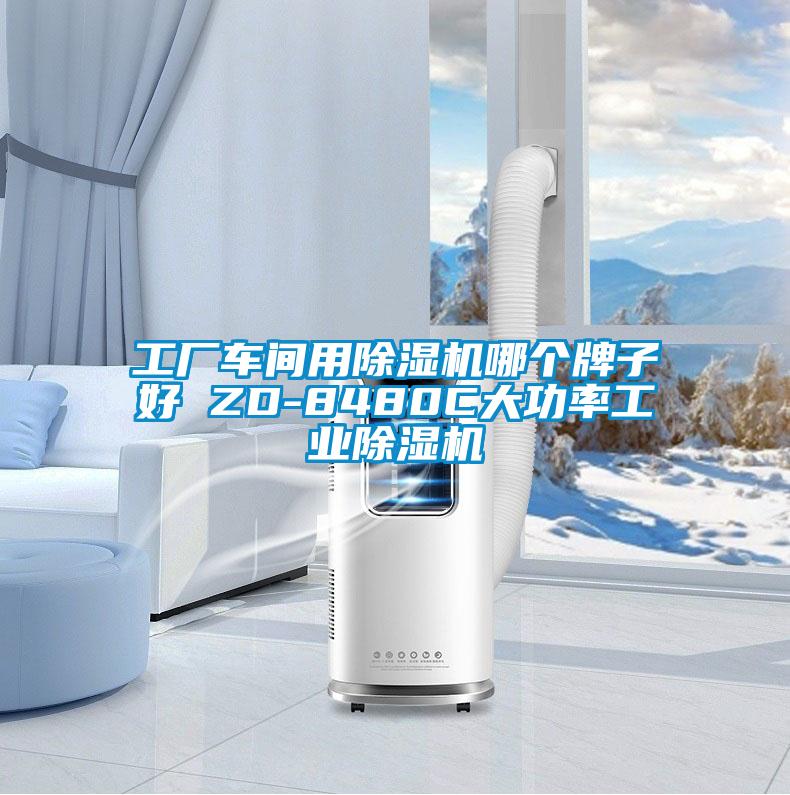 工厂车间用除湿机哪个牌子好 ZD-8480C大功率工业除湿机