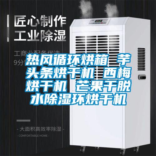 热风循环烘箱 芋头条烘干机 西梅烘干机 芒果干脱水除湿环烘干机