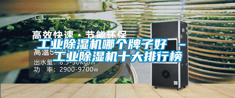工业除湿机哪个牌子好 – 工业除湿机十大排行榜