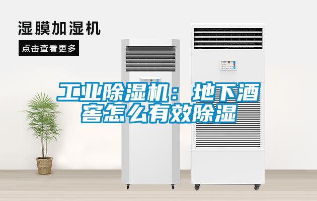 工业除湿机：地下酒窖怎么有效除湿