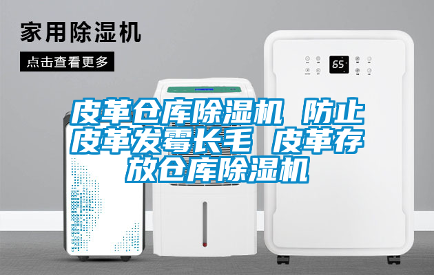 皮革仓库除湿机 防止皮革发霉长毛 皮革存放仓库除湿机