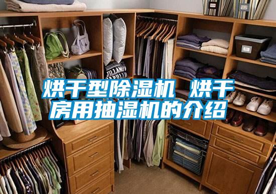 烘干型除湿机 烘干房用抽湿机的介绍