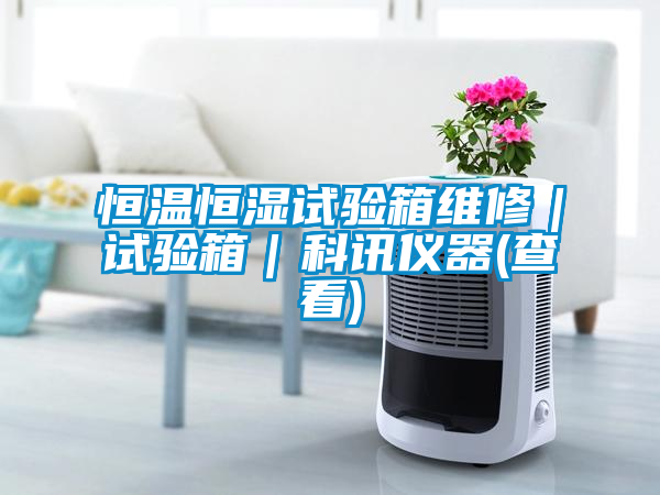 恒温恒湿试验箱维修｜试验箱｜科讯仪器(查看)