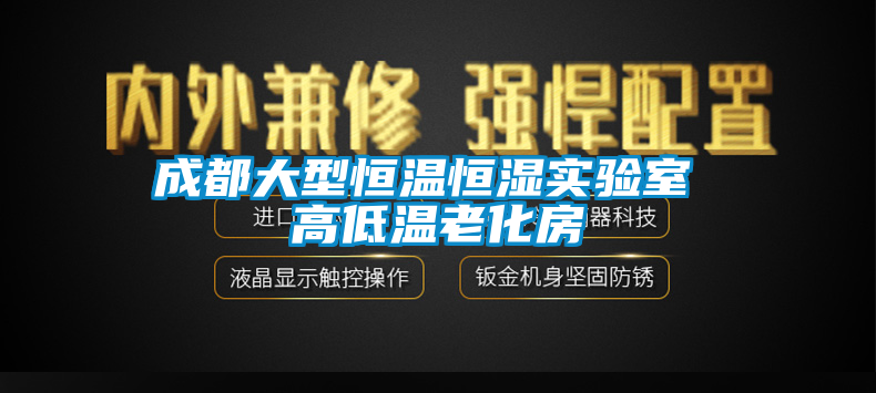 成都大型恒温恒湿实验室 高低温老化房