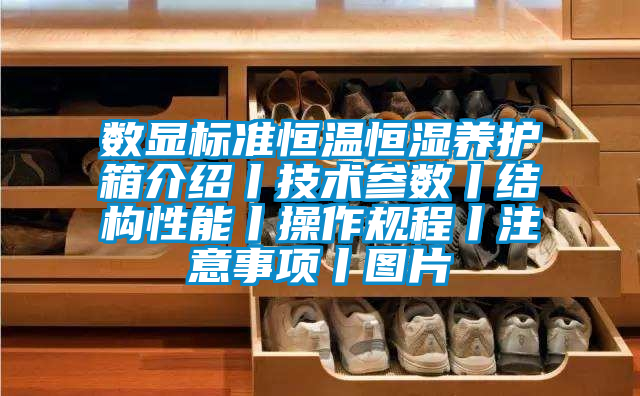 数显标准恒温恒湿养护箱介绍丨技术参数丨结构性能丨操作规程丨注意事项丨图片