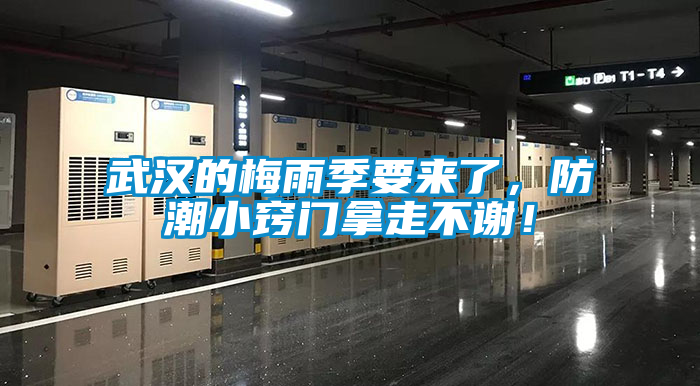 武汉的梅雨季要来了，防潮小窍门拿走不谢！