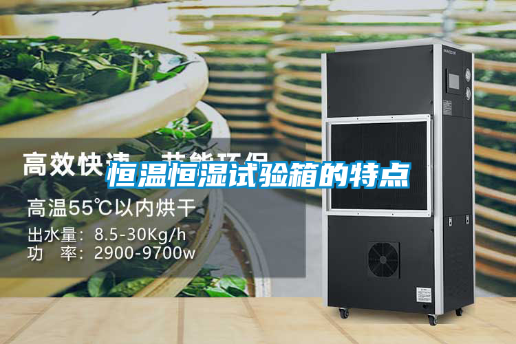 恒温恒湿试验箱的特点