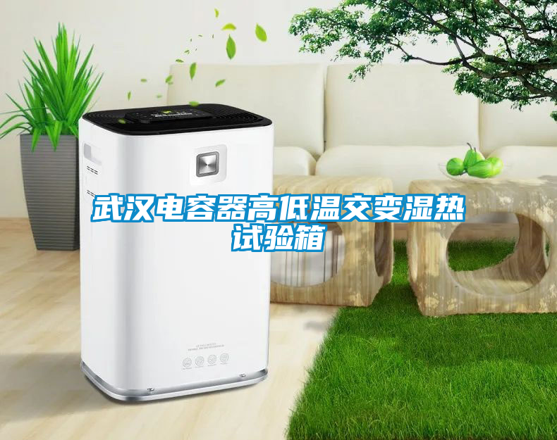 武汉电容器高低温交变湿热试验箱