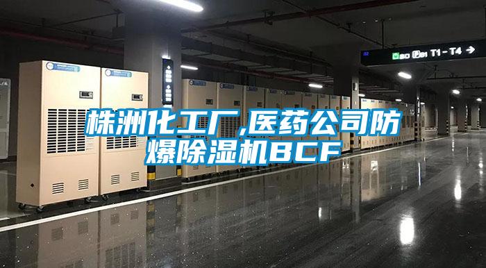 株洲化工厂,医药公司防爆除湿机BCF