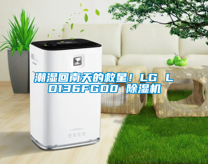 潮湿回南天的救星！LG LD136FGD0 除湿机