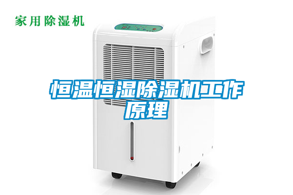 恒温恒湿除湿机工作原理