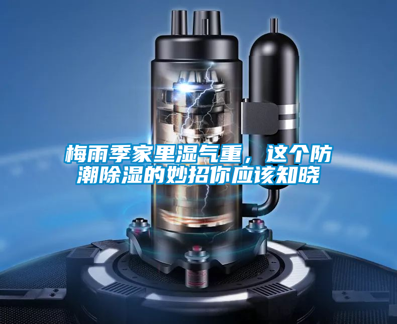 梅雨季家里湿气重，这个防潮除湿的妙招你应该知晓