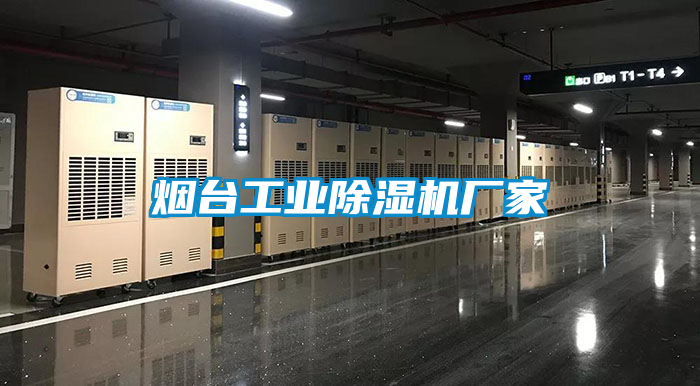 烟台工业除湿机厂家