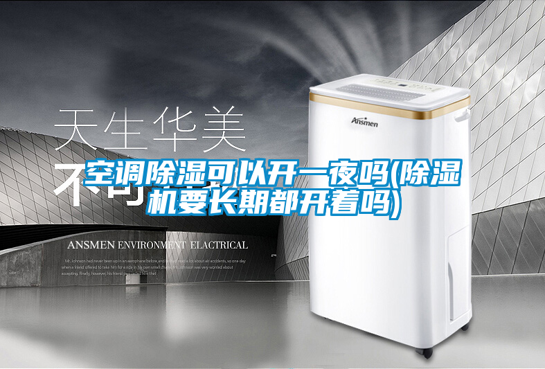 空调除湿可以开一夜吗(除湿机要长期都开着吗)