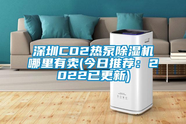 深圳CO2热泵除湿机哪里有卖(今日推荐：2022已更新)