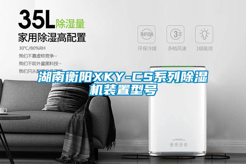 湖南衡阳XKY-CS系列除湿机装置型号