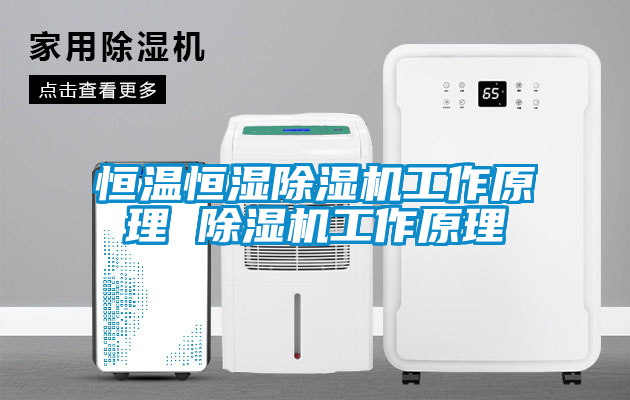 恒温恒湿除湿机工作原理 除湿机工作原理