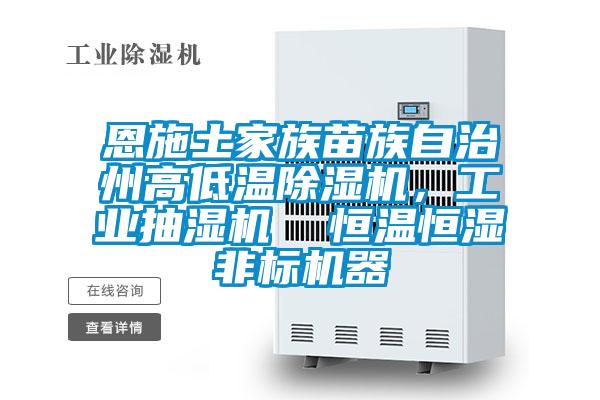 恩施土家族苗族自治州高低温除湿机，工业抽湿机  恒温恒湿非标机器