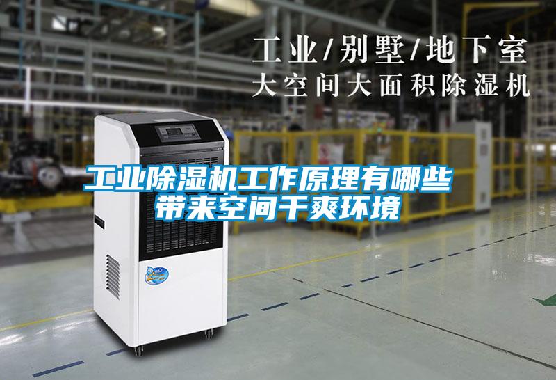 工业除湿机工作原理有哪些 带来空间干爽环境