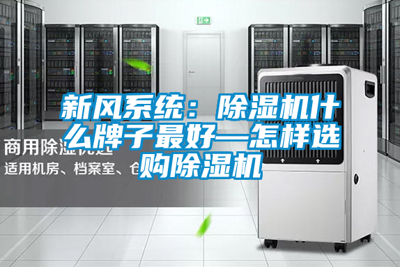 新风系统：除湿机什么牌子最好—怎样选购除湿机