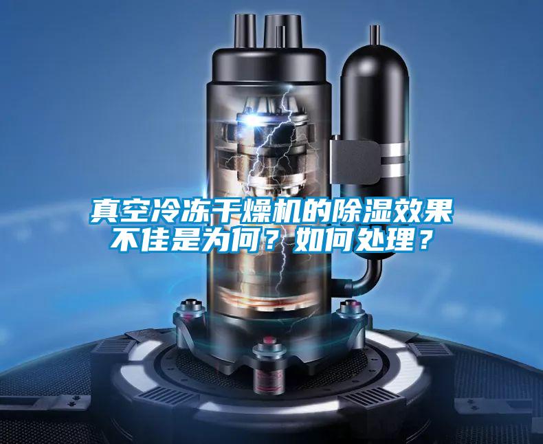 真空冷冻干燥机的除湿效果不佳是为何？如何处理？