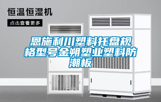 恩施利川塑料托盘规格型号金朔塑业塑料防潮板