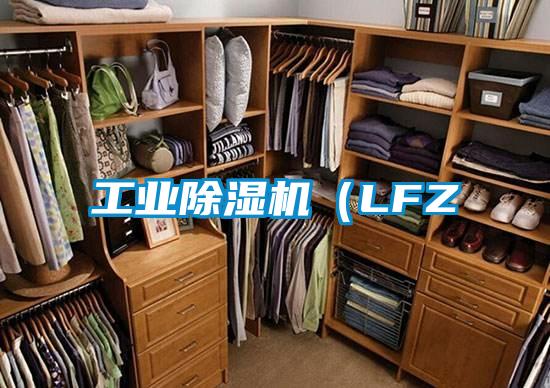 工业除湿机（LFZ