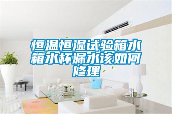 恒温恒湿试验箱水箱水杯漏水该如何修理
