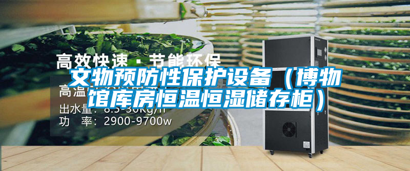 文物预防性保护设备（博物馆库房恒温恒湿储存柜）