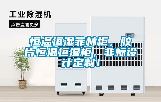 恒温恒湿菲林柜，胶片恒温恒湿柜，非标设计定制！