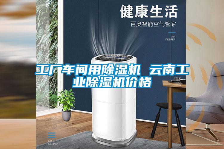 工厂车间用除湿机 云南工业除湿机价格