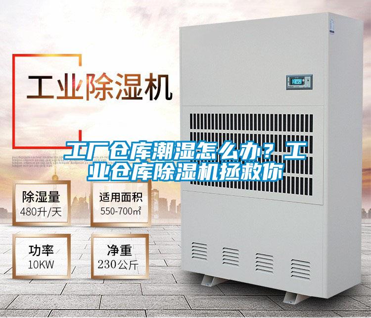 工厂仓库潮湿怎么办？工业仓库除湿机拯救你