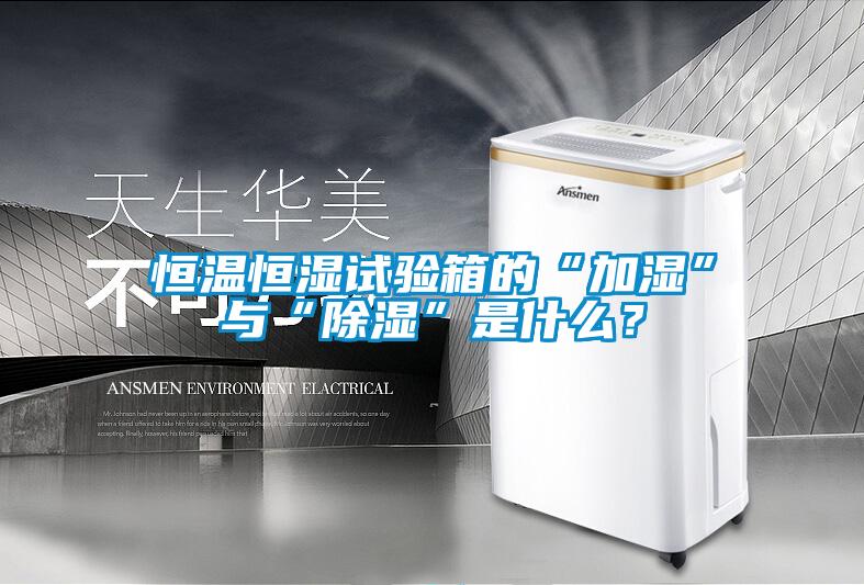 恒温恒湿试验箱的“加湿”与“除湿”是什么？