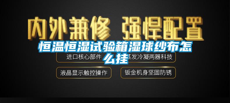 恒温恒湿试验箱湿球纱布怎么挂