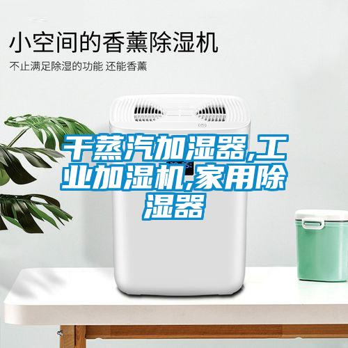 干蒸汽加湿器,工业加湿机,家用除湿器