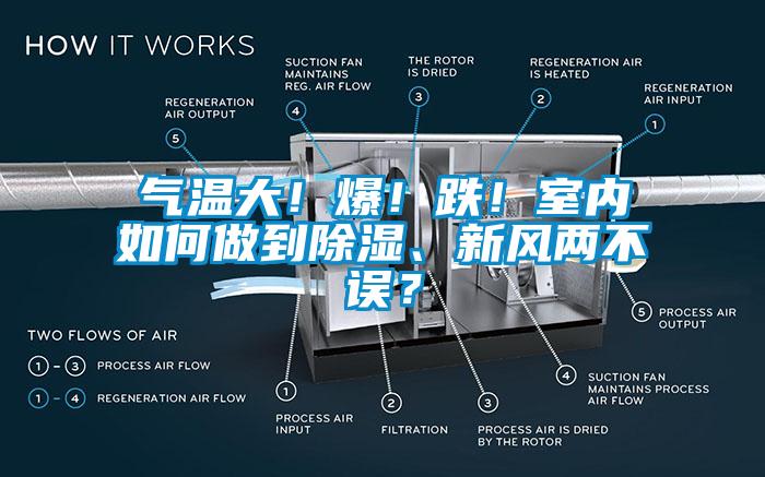 气温大！爆！跌！室内如何做到除湿、新风两不误？