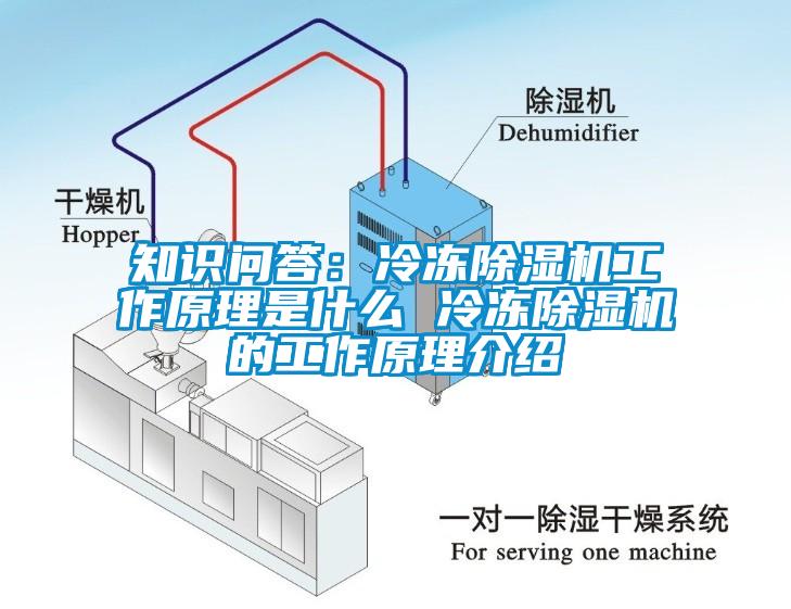 知识问答：冷冻除湿机工作原理是什么 冷冻除湿机的工作原理介绍