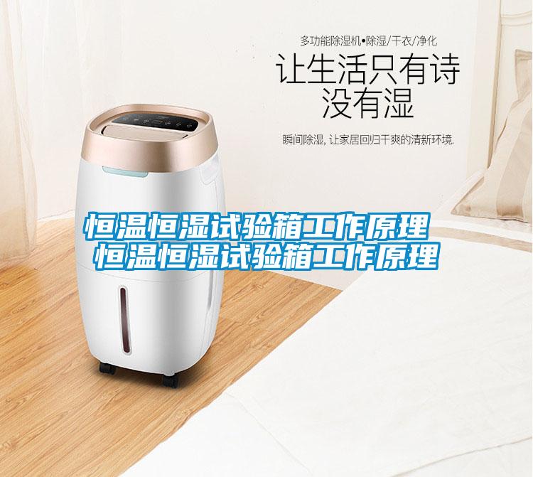 恒温恒湿试验箱工作原理 恒温恒湿试验箱工作原理