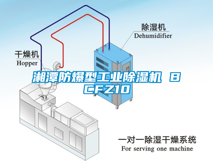 湘潭防爆型工业除湿机 BCFZ10