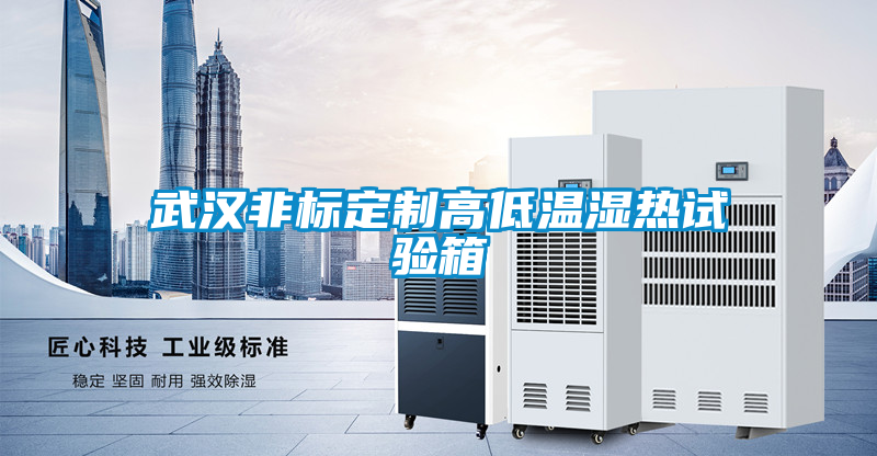 武汉非标定制高低温湿热试验箱