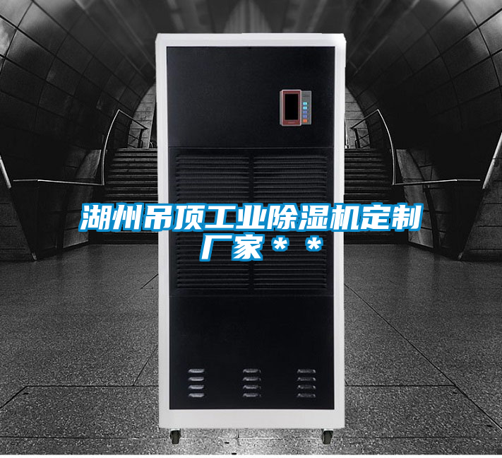 湖州吊顶工业除湿机定制 厂家＊＊