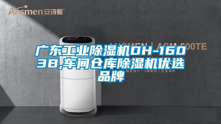 广东工业除湿机DH-1603B,车间仓库除湿机优选品牌