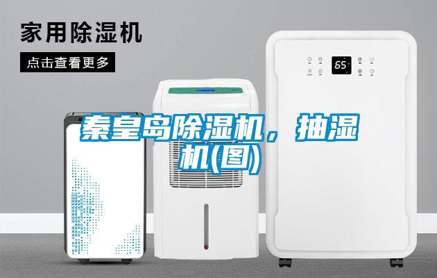 秦皇岛除湿机，抽湿机(图)