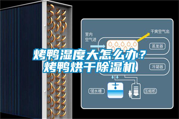 烤鸭湿度大怎么办？烤鸭烘干除湿机