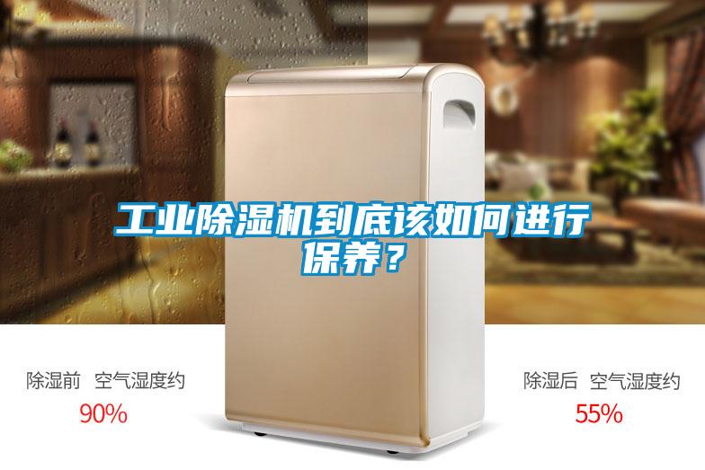 工业除湿机到底该如何进行保养？