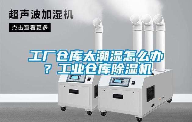 工厂仓库太潮湿怎么办？工业仓库除湿机