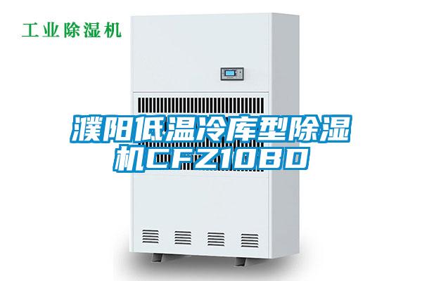 濮阳低温冷库型除湿机CFZ10BD