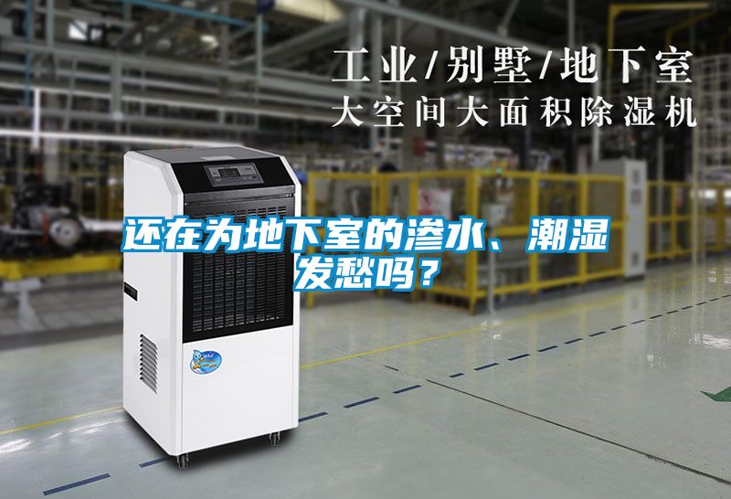 还在为地下室的渗水、潮湿发愁吗？